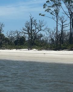 Scenic landscape in GA