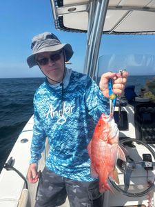 One grey snapper fish caught while fishing in GA