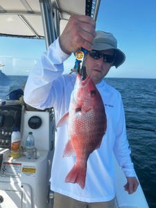 Grey Snapper fish caught during fishing tours at Midway