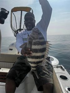 A huge sheepshead fish caught while fishing in Midway