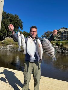 5 sheepshead, redfish, and spotted weakfish fishing in Midway