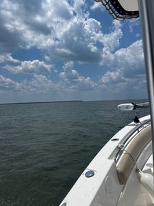 Midway fishing adventures amid stunning landscape
