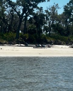 Scenic view of Midway with fishing boats and tours
