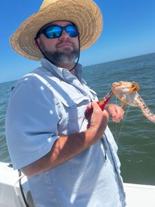 Midway fishing tours adventure