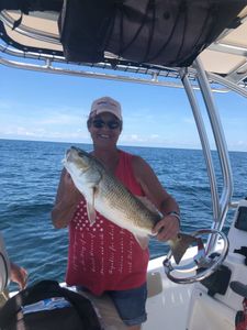 Redfish caught on fishing tour in Midway