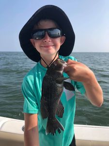 A single sea bass fish caught in Georgia