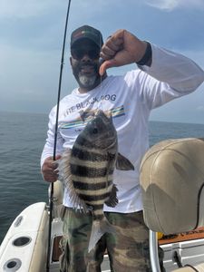 A Sheepshead fish caught during a fishing tour at Midway