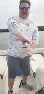 Fish-Species