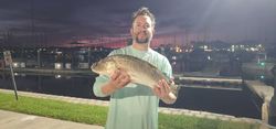 Fish-Species