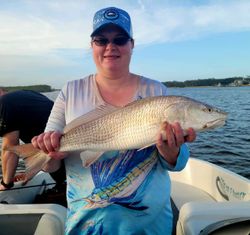 Fish-Species