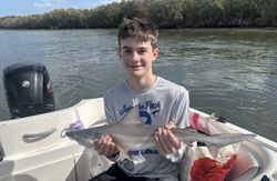 Blacktip shark caught during fishing charter in Daytona Beach FL