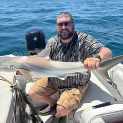 Bull shark caught during fishing tour in FL