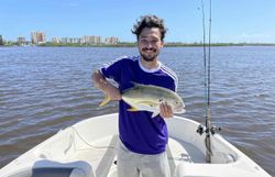Crevalle Jack caught while fishing in FL