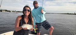 Crevalle Jack fish caught fishing in Florida