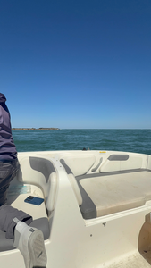 A day on the water with a bountiful catch.