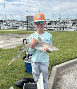 Fishing tour in Daytona Beach