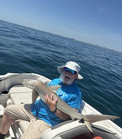 Dusky Smooth-Hound fish caught during fishing tour in FL
