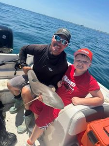 Dusky Smooth-Hound fish caught during a fishing tour in FL
