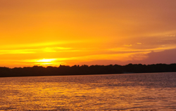 Scenic fishing tour in FL