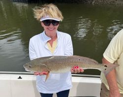 A fisherman in Charleston landing a great catch