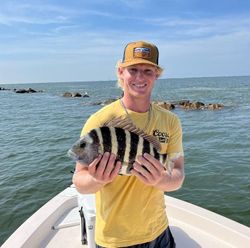 Sheepshead fish caught while fishing in SC