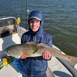 A lone fisherman reeling in a catch in SC