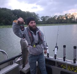 Fish-Species