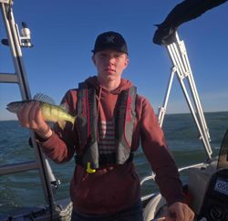 Fish-Species