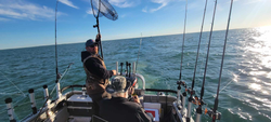 Lone angler fishing in Michigan