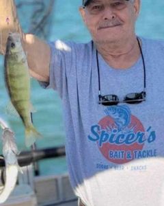 Fish-Species