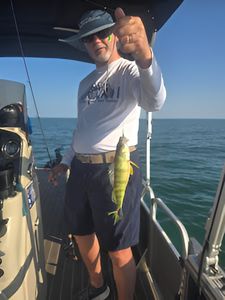Fishing in MI