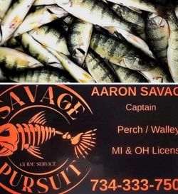 Fish-Species