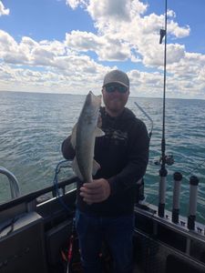 Fisherman holding a 16-inch fish in Monroe