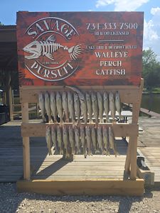 Scenic view of fishing in MI