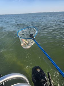 Fishing scene in Monroe