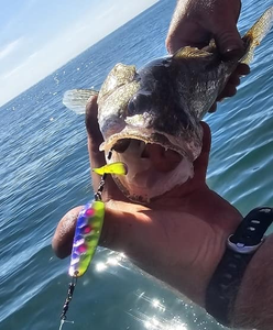 A peaceful fishing trip in Monroe