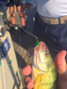 Fishing in Monroe, best great experience