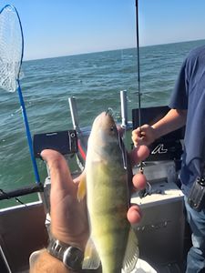 A fishing trip in MI