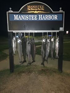 5 fish caught while fishing in Monroe