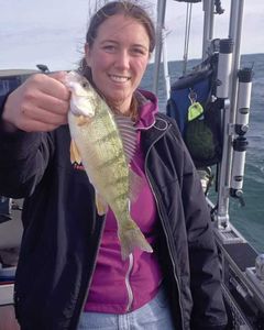 Angler fishing alone in MI
