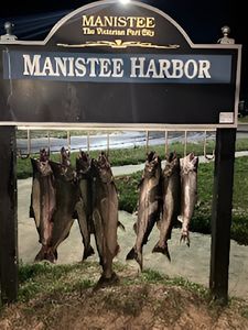 4 fish caught in MI