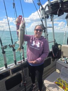 Walleye fish caught in MI