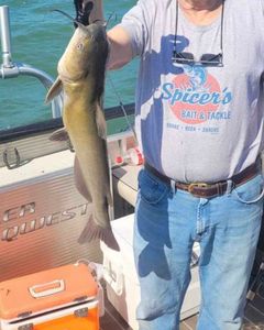 Fishing for a white catfish in Monroe