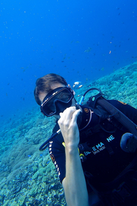 Exploring the deep blue with marine friends.