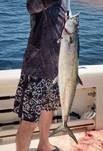 Fort Walton Beach Finest Kingfish