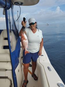 Fort Walton Beach Red Snapper Wonders 