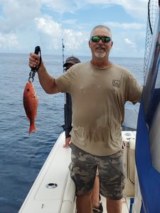 Fort Walton Red Snapper Feast