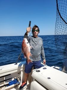 Another Red Snapper for the Fish box.