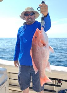 Successful catch of a grey snapper fish in Florida