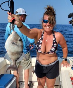 Grey Triggerfish fishing in FL